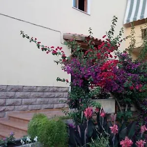 https://al-trentados.in-sardinia.net
